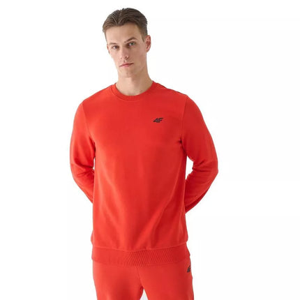 Džemperis 4F M1465 M 4FWMM00TSWSM1465-70S