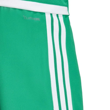 Men's adidas Tiro 26 Competition Match Day Shorts Green KA6175