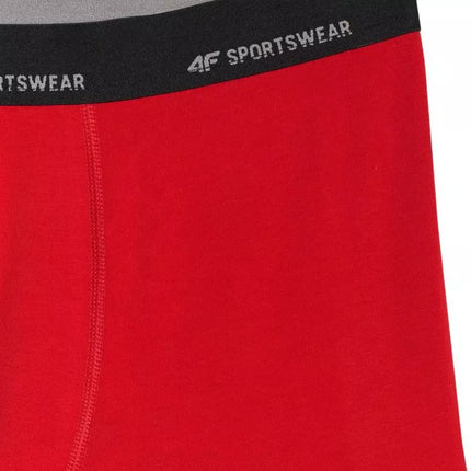 Men's boxer shorts 4F M080 2-pack multicolor 4FWMM00UBXSM080 90S