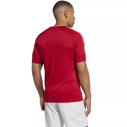 Marškinėliai Adidas Campeon 23 M HR2622