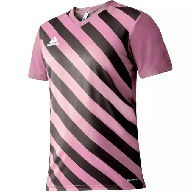 adidas Entrada 22 Graphic Jersey Jr HC2632