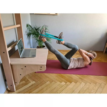 WOODEN PULL-UP LADDER WITH DESK BENCHK 112