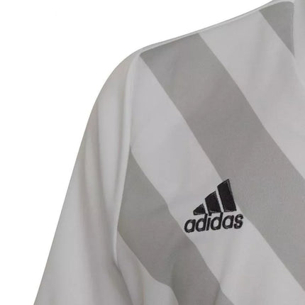 adidas Entrada 22 Graphic Jersey Jr HF0120