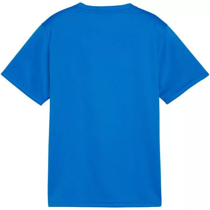 Puma TeamGoal Jersey for kids blue 658637 02