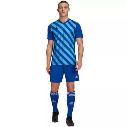 adidas Entrada 22 Grafinis Džersis M HF0116