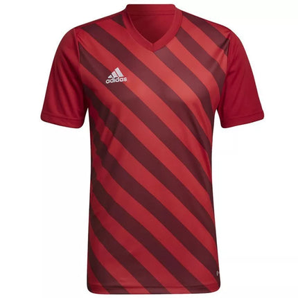 Adidas Entrada 22 grafiniai marškinėliai M HB0572