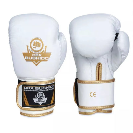 10oz Boxing Gloves - Spirit - Valor Series