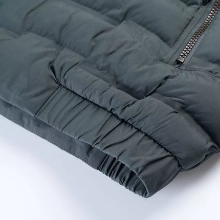 Iguana Dogio Primaloft dygsniuota striukė M 92800622523