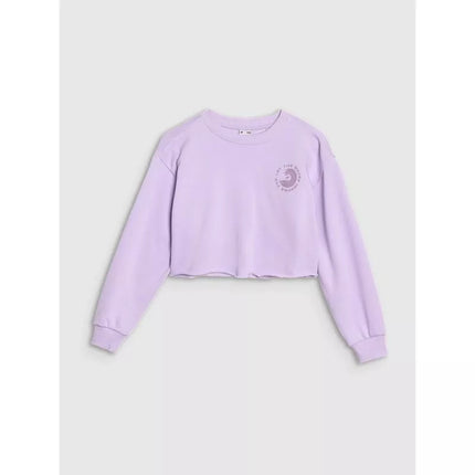 Girls' sweatshirt without a hood, 4F 4FJWSS25TSWSF1504-52S