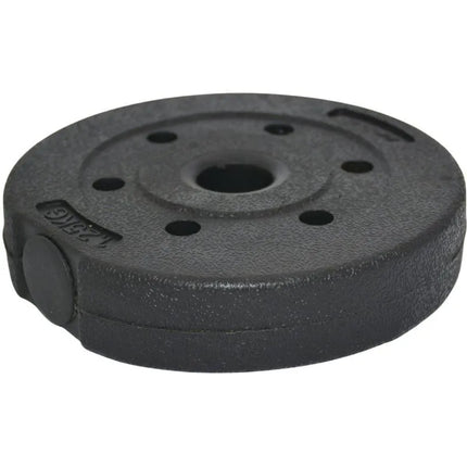BETONINIS SVORIS 1,25 KG ENERO FIT Ø26,5