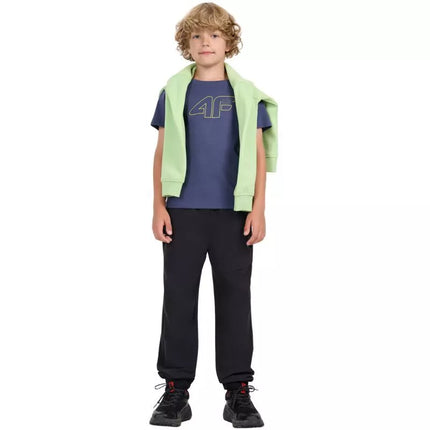 T-marškinėliai 4F Jr 4FJWAW25TTSHM2417 31S