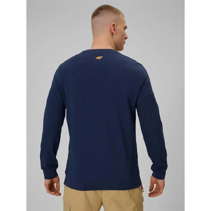 Longsleeve with print for men 4F 4FRAW25TLONM618-31S