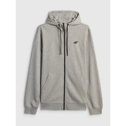 Men's regular hooded sweatshirt 4F 4FRMM00TSWSM3058-27M