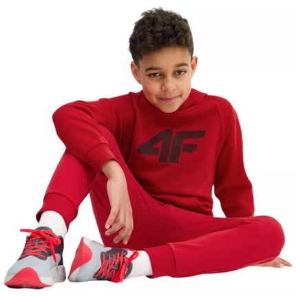 4F Jr. džemperis 4FJSS23TSWSM220 62S