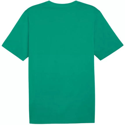 Marškinėliai Puma Team Rise Logo Jersey Cotton M 658705 05