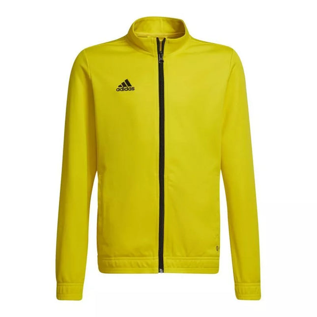 Adidas Entrada 22 jaunimo džemperis HI2139