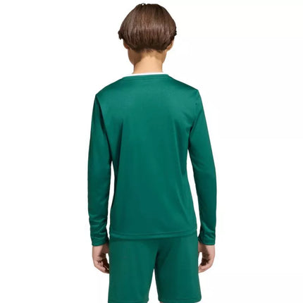 adidas Entrada 26 Long Sleeve Jersey for Kids Green KF5873