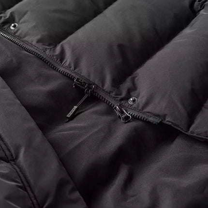 Iguana Tialgo Striukytė W 92800439327