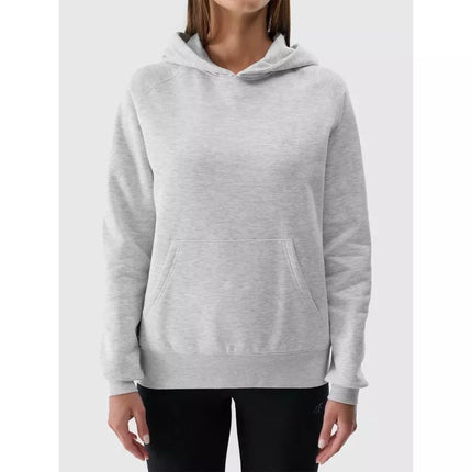 Women's sweatshirt with hood, open, 4F 4FWMM00TSWSF1764-27M