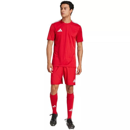 adidas Campeon 25 marškinėliai M JF6058