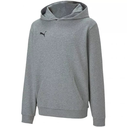 Puma teamGOAL 23 Casuals Hoody Jr 656711 33 džemperis