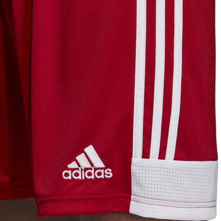 adidas Tastigo 19 Šortai M DP3681