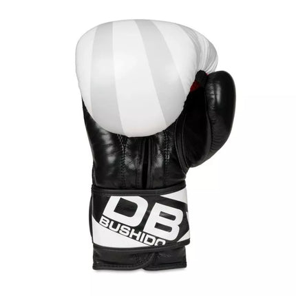 10oz Boxing Gloves - Japan - Valor Series