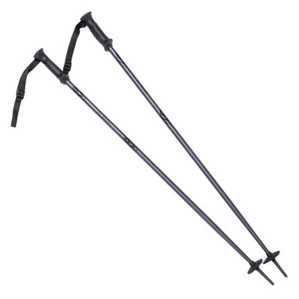 ALPINE SKI II slidžių lazdas