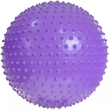 PROFIT Gimnastikos Kamuolys su Masažu 55cm Violetinis DK 2104