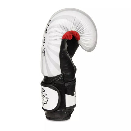 10oz Boxing Gloves - Japan - Valor Series