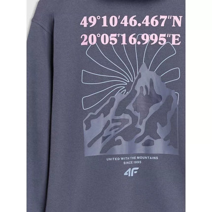 Girls' sweatshirt with a hood, 4F 4FJWSS25TSWSF1482-22S