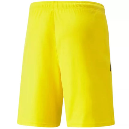 Puma teamLIGA M 704924 07 shorts