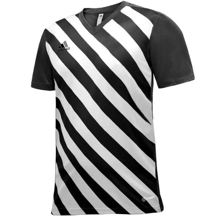 adidas Entrada 22 Graphic marškinėliai berniukams HF0123