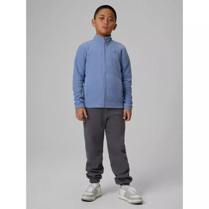 Regular fleece without hood for boys 4F 4FJRSS26TFLEM508-32S