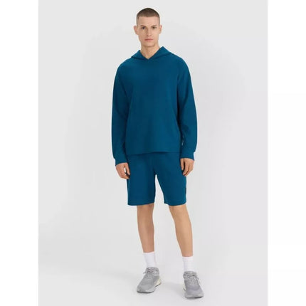 Men's sweatshirt with hood, open, 4F 4FWSS25TSWSM1558-46S