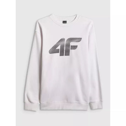 Men's sweatshirt without zipper and hood 4F 4FRAW25TSWSM2493-10S