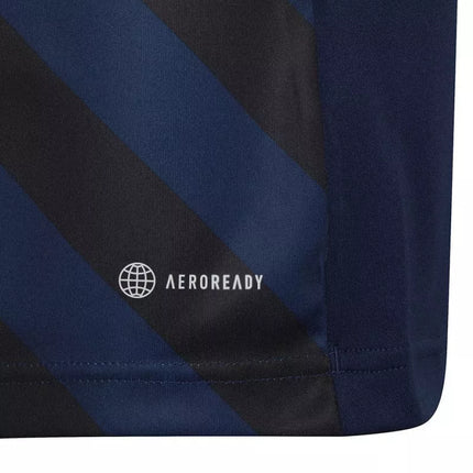 adidas Entrada 22 Graphic Jersey Jr HF0122
