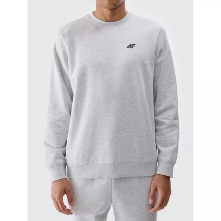 Men's sweatshirt without zipper, without hood, 4F 4FWMM00TSWSM1767-27M