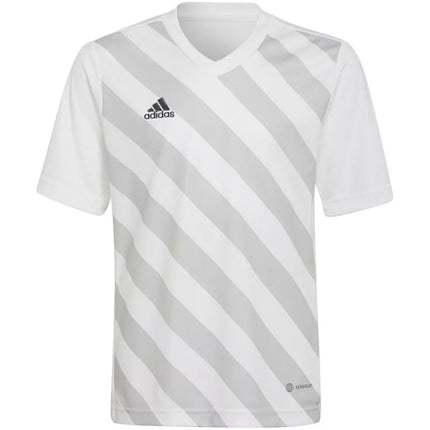 Adidas Entrada 22 Graphic marškinėliai Jr HF0120