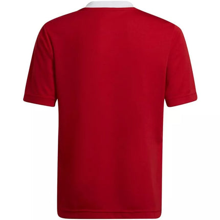 Adidas Entrada 22 Jsy Jr Marškinėliai H57496