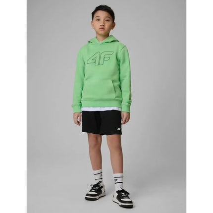 Boy's regular hooded sweatshirt 4F 4FJRSS26TSWSM2748-41S