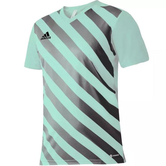 adidas Entrada 22 Grafinis Džersis Jaunesniajam HF0127