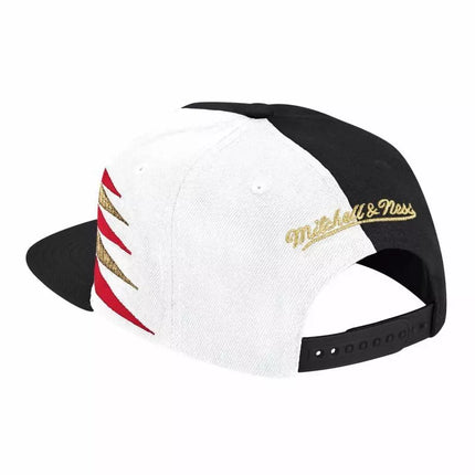 Mitchell & Ness NBA Diamond Cut Toronto Raptors kepuraitė - HHSS1093-TRAYYPPPBKWH
