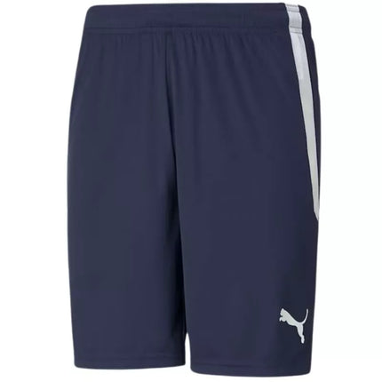 Puma teamLIGA M 704924 06 šortai