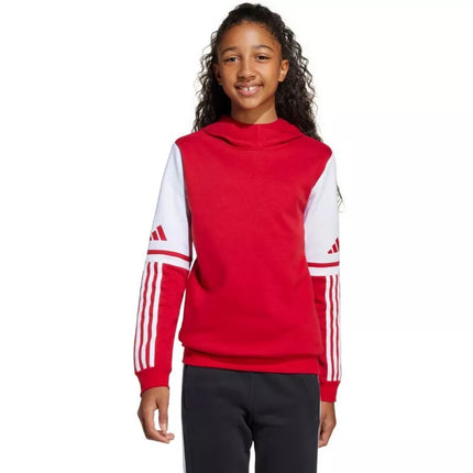 Adidas Squadra 25 džemperis su gobtuvu Jr JD4805