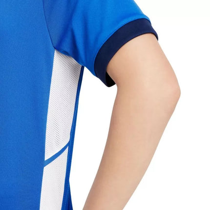 Nike Dri-Fit Academy 25 moksleivių trumpas rankoves marškinėliai FZ9758 463