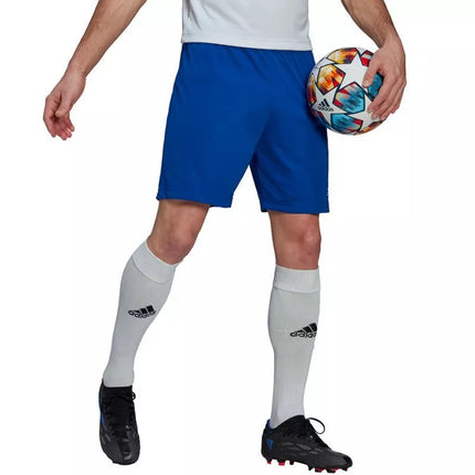 Adidas Entrada 22 M HG6294 šortai