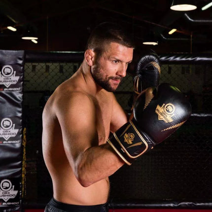 10oz Boxing Gloves - Aureos - Valor Series