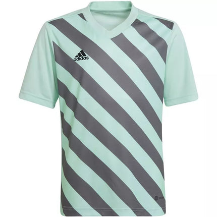 adidas Entrada 22 Graphic Jersey Jr HF0127