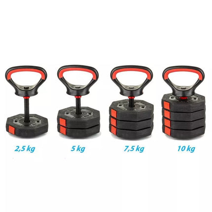 Kompozitinis hantelis-svarmuo 10 kg (4x2.5 kg) EB FIT